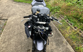 YAMAHA YZF-R1 2009 RN20