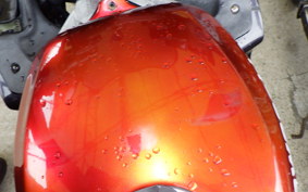 KAWASAKI ZZ-R250 EX250H