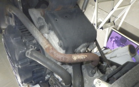 HONDA ZOOMER 1999 AF58