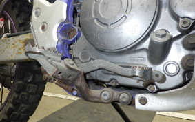YAMAHA TT250R RAID 2024 4GY