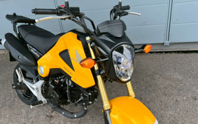 HONDA GROM JC61