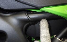 KAWASAKI ZX-4RR 2024 ZX400P