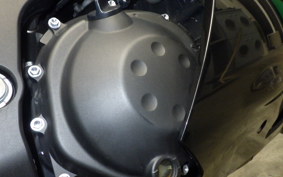 KAWASAKI ZX 1400 NINJA R A 2019