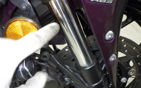 YAMAHA YZF R-3 2025 RH21J