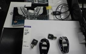HARLEY FLHXSE1980CVO 2024
