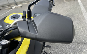 SUZUKI DL650 ( V-Strom 650 ) 2023 C733M