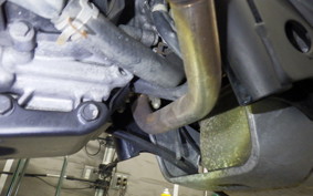 HONDA ZOOMER 2021 AF58