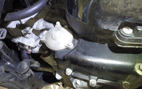YAMAHA MAXAM 250 2013 SG21J