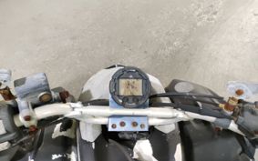 OTHER  BUGGY  ASH  YELLOW RYOU UNKNOWN  ..