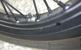DUCATI SCRAMBLER 2024