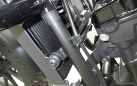 HONDA REBEL 250 S 2025 MC49