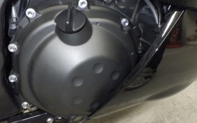 KAWASAKI ZX 1400 NINJA R A 2019