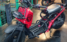 HONDA ZUMAR AF58