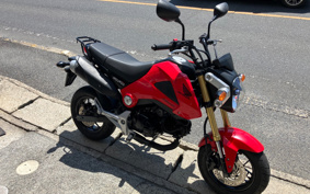 HONDA GROM JC61