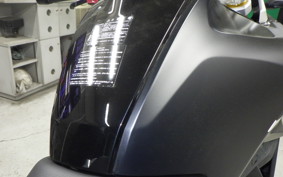 BMW G310GS 2024