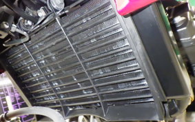 HONDA CB400 SUPER BOLDOR A 2021 NC42