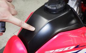 HONDA CRF250L 2026 MD47