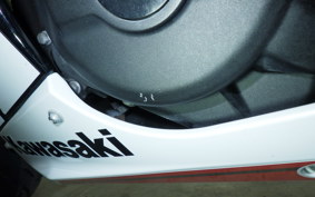 KAWASAKI NINJA 400 2021 EX400G