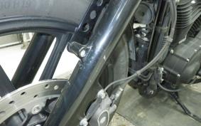 HARLEY XL1200NS 2019