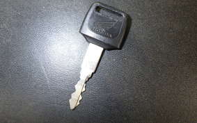 HONDA HORNET 250 2024 MC31