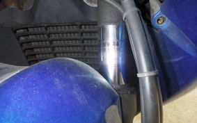 SUZUKI SKYWAVE 250 (Burgman 250) SS 2022 CJ43A