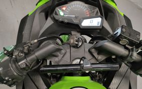 KAWASAKI NINJA 250 EX250L