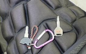 HONDA STEED 400 1991 NC26