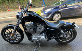 HARLEY XL883L 2008 CR2