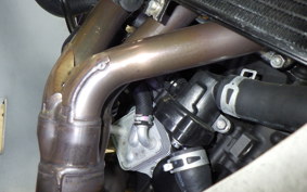 YAMAHA XSR900 GP 2024 RN96J
