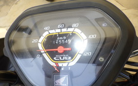 HONDA CROSS CUB 110 JA10