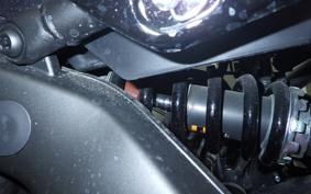 YAMAHA XSR900 2024 RN80J