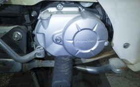 HONDA C110 SUPER CUB