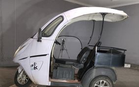 OTHER DENDOU TRIKE  ..