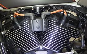 HARLEY FXDRS1870 2019