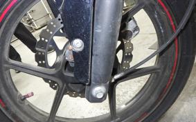 KAWASAKI NINJA 250R 2022 EX250K