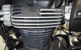 KAWASAKI W800 CAFE 2020 EJ800B