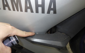 YAMAHA YZF-R25 2007 RG10J