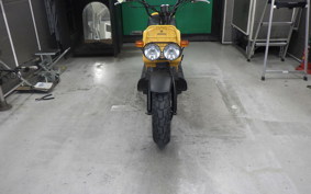 HONDA ZOOMER 2013 AF58