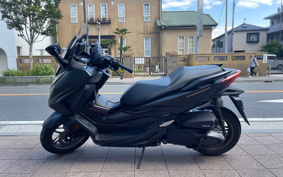 HONDA  FORZA 250 MF17