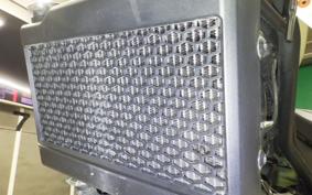 HONDA REBEL 250 E-Clutch 2025 MC49