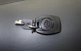 HARLEY FLHX1920 2024