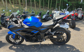 KAWASAKI NINJA 250 EX250L