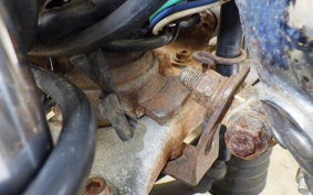 SUZUKI GRASS TRACKER NJ47A