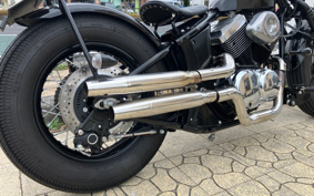 OTHER THUNDER 250