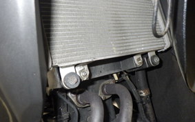 KAWASAKI NINJA 250 EX250L