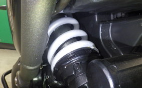 TRIUMPH SPEED400 2024