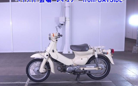 HONDA LITTLE CUB