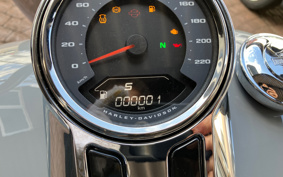 HARLEY  HARLEY FLFB 2025 YF9