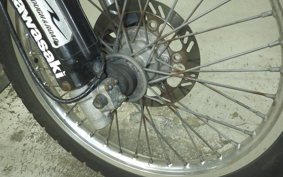 KAWASAKI KLX250 2021 LX250E