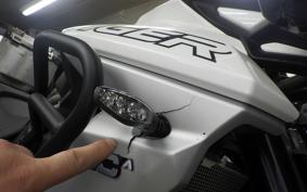 TRIUMPH TIGER 800 2019